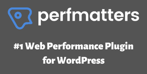 Perfmatters 2.4.0 Plugin [Latest Version]