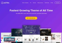 Astra Premium Sites 4.4.1 (latest)