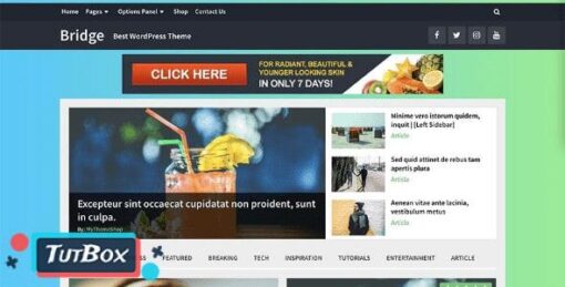 bridge theme download