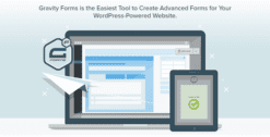 Gravity Forms 2.8.7.1 + Full add-ons
