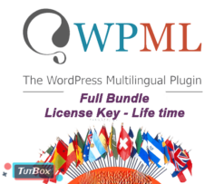 WPML 4.6.5 + all addons (license key)